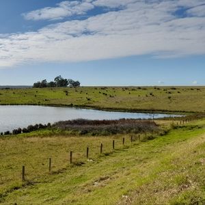 Meet your Posher, Svetlana